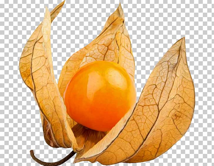 Peruvian Groundcherry Chinese Lantern Nightshade Native Gooseberry PNG, Clipart, Berry, Chinese Lantern, Commodity, Food, Fruit Free PNG Download
