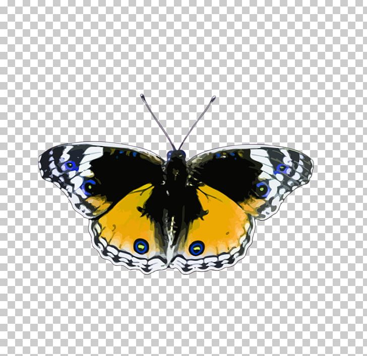 Butterfly Insect PNG, Clipart, Animal, Arthropod, Brush Footed Butterfly, Butterfly, Butterfly Butterfly Free PNG Download