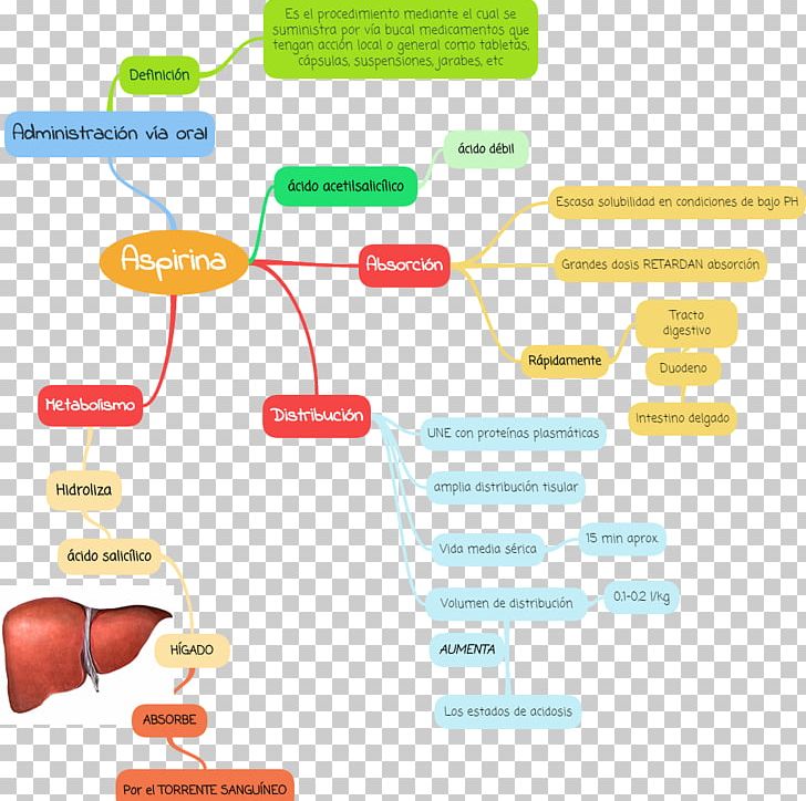 Concept Map Pharmacology Pharmacokinetics Diagram PNG, Clipart, Area, Aspirin, Brand, Concept, Concept Map Free PNG Download