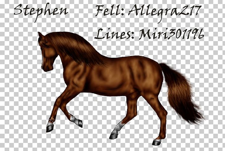 Mane Mustang Foal Stallion Mare PNG, Clipart, Bridle, Colt, English Riding, Equestrian, Foal Free PNG Download