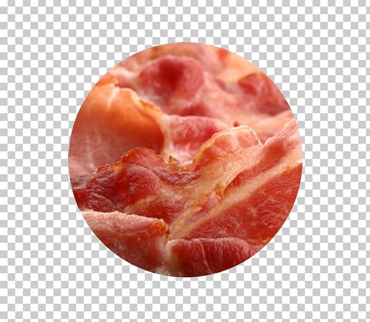 Capocollo Ham Bacon Baked Beans Full Breakfast PNG, Clipart, Animal Source Foods, Back Bacon, Bacon, Baked Beans, Beef Free PNG Download