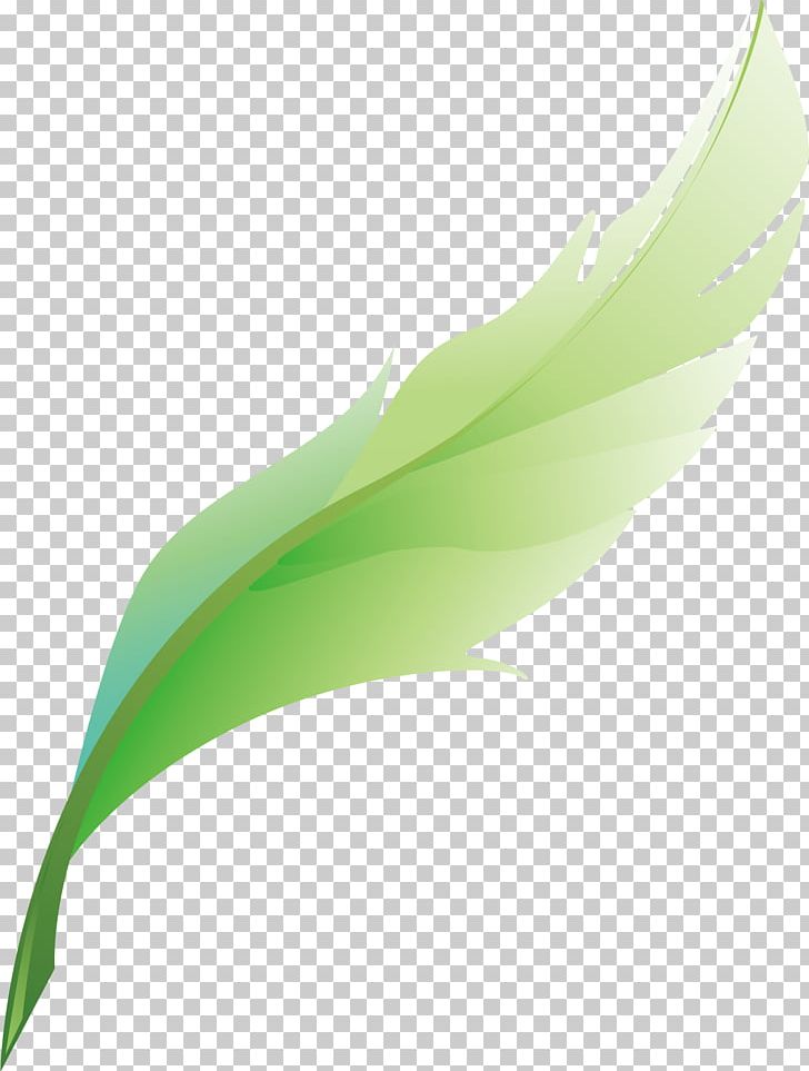 Green Feather PNG, Clipart, Animals, Artworks, Cartoon, Computer Graphics, Design Element Free PNG Download