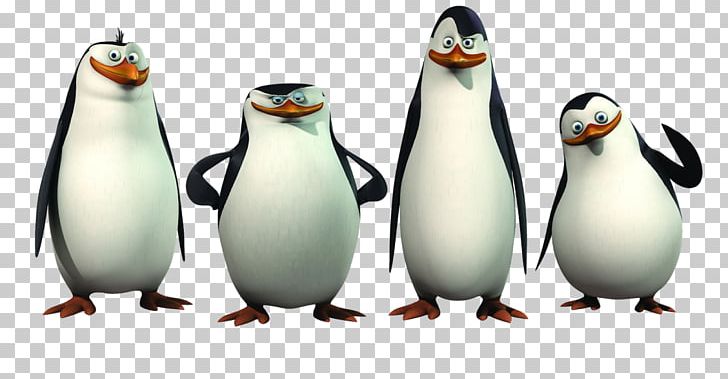 Kowalski Skipper Penguin Charming Villain Madagascar PNG, Clipart, Animals, Beak, Bird, Charming Villain, Dreamworks Animation Free PNG Download
