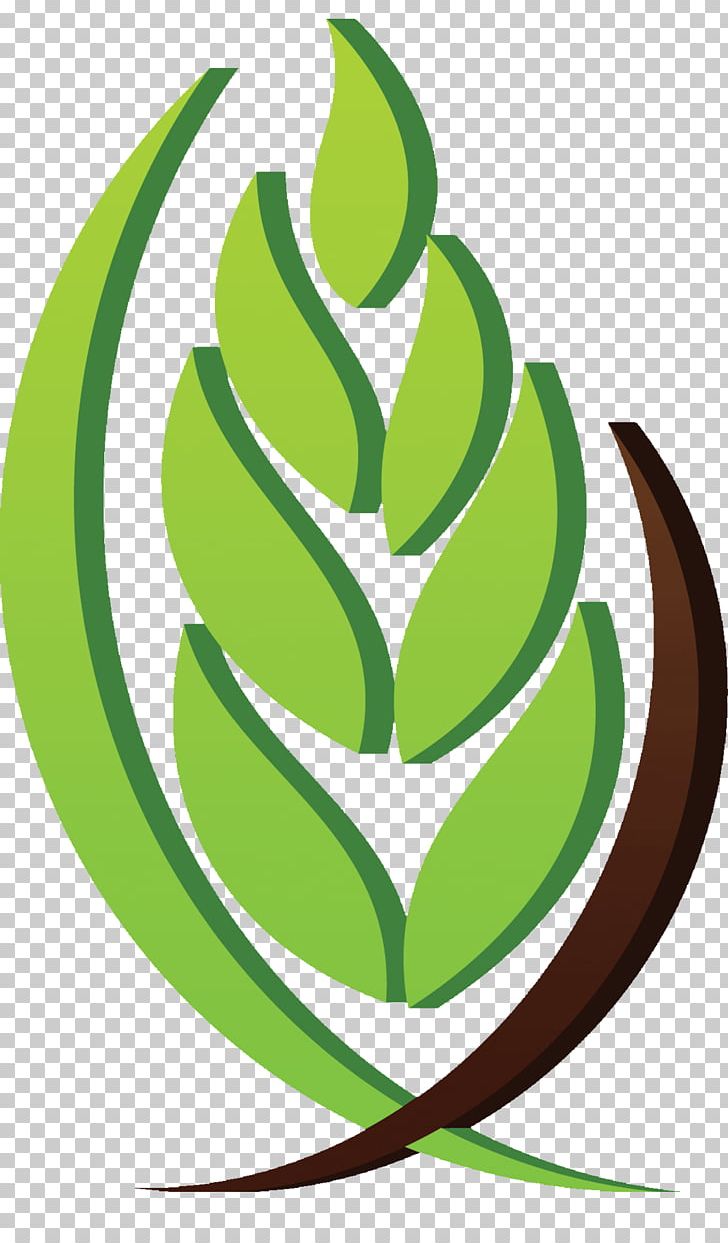 AAAID Agriculture Saudi Arabia Investment Organization PNG, Clipart, Agriculture, Arabfood, Authority, Business, Circle Free PNG Download