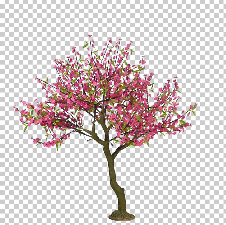 Cherry Blossom Tree Drawing Peach PNG, Clipart, Beautiful, Beautiful Hand, Branch, Cartoon Eyes, Cherry Free PNG Download