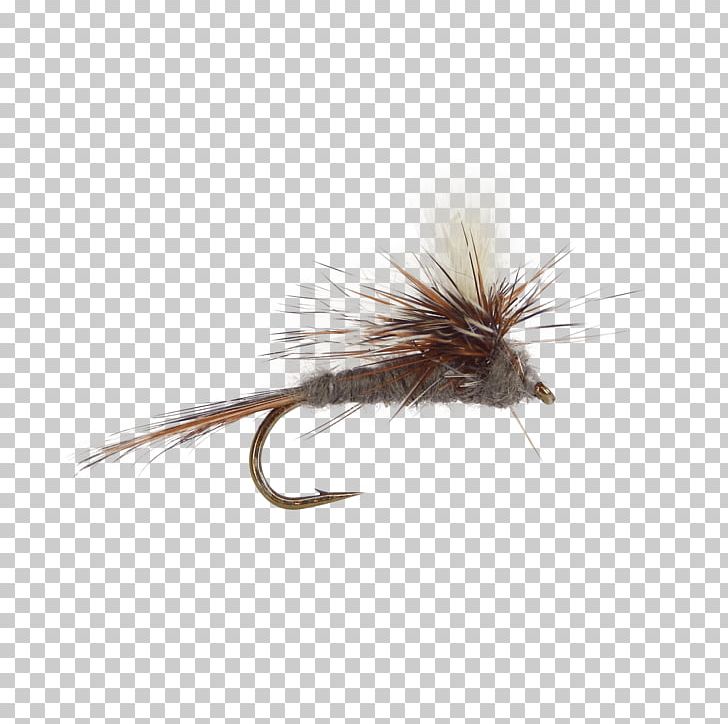 Fly Fishing Artificial Fly Adams Klinkhammer Parachute PNG, Clipart,  Free PNG Download