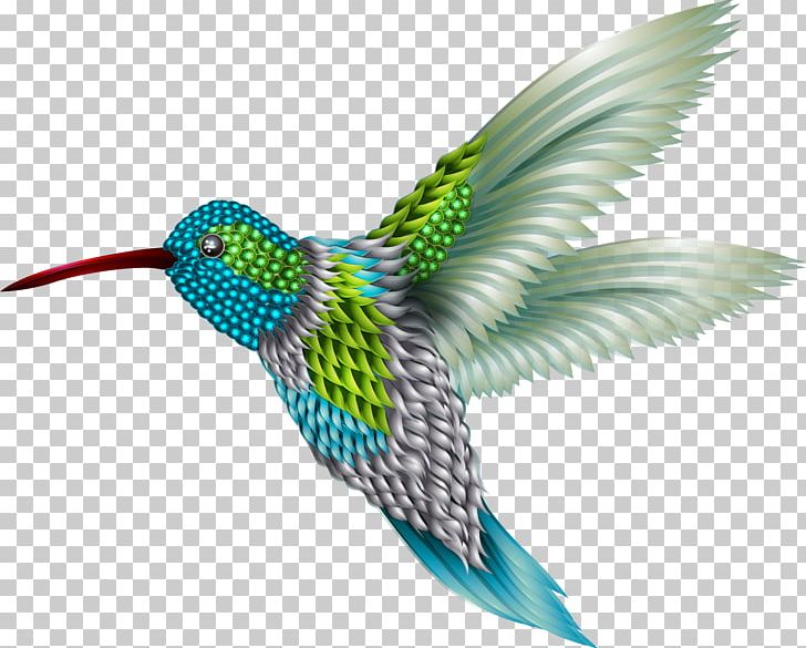 Hummingbird Sparrow PNG, Clipart, Adobe Illustrator, Animals, Beak, Bird, Birds Free PNG Download