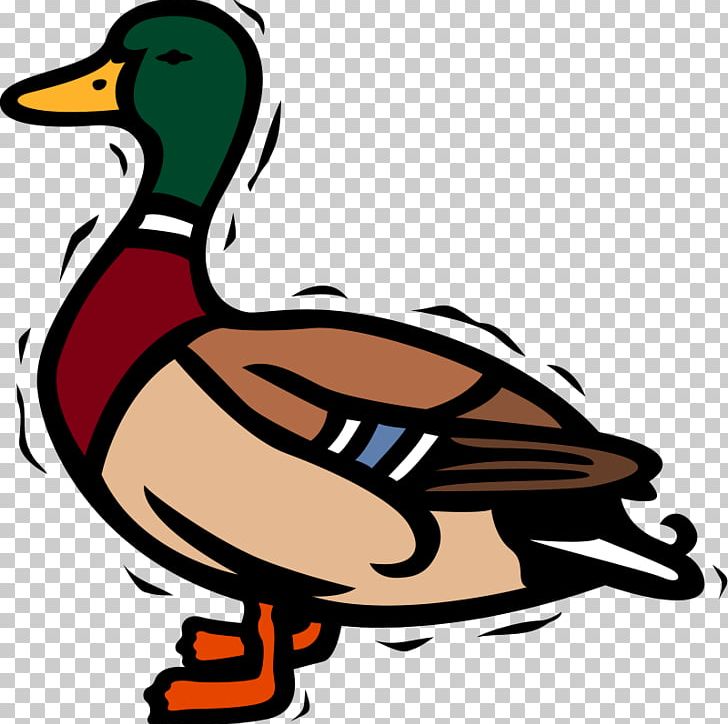 Mallard Duck PNG, Clipart, Artwork, Beak, Bird, Cartoon Images Of People At Work, Clip Art Free PNG Download