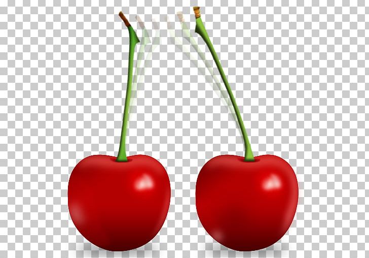 Sweet Cherry Fruit Tsuruoka Cerasus PNG, Clipart, Apricot, Cerasus, Cherry, Cherry Blossom, Diet Food Free PNG Download