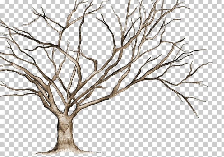 Tree PNG, Clipart, Art, Artwork, Black And White, Branch, Cay Free PNG Download