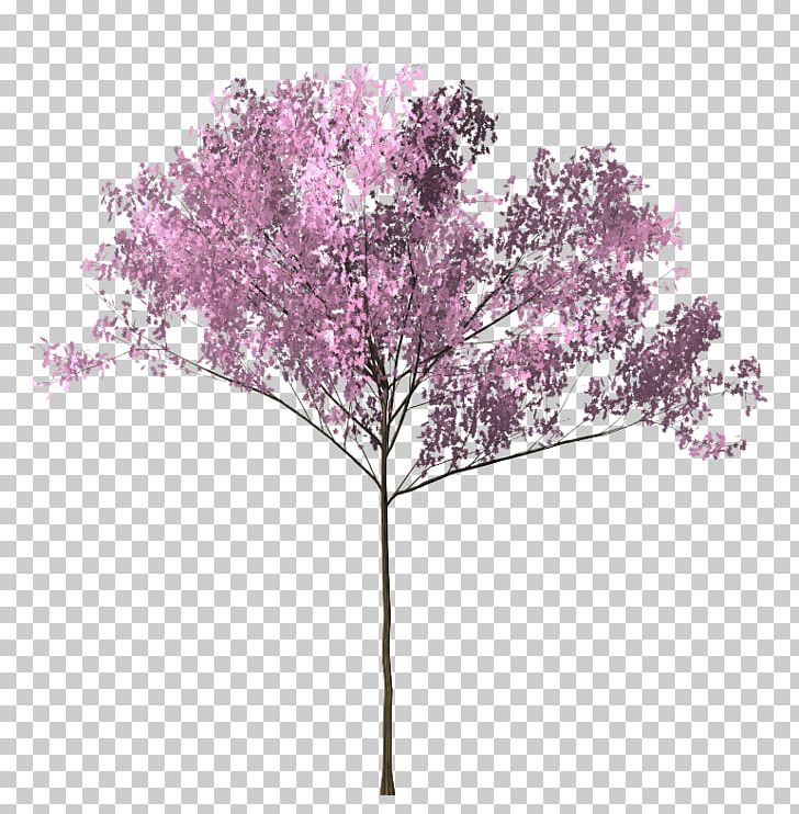 Cherry Blossom Tree Twig PNG, Clipart, Blossom, Branch, Bunga, Cherry Blossom, Cherry Blossom Tree Free PNG Download
