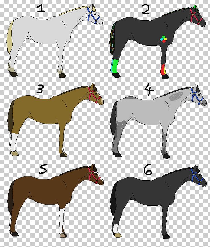 Mule Foal Horse Stallion Pony PNG, Clipart, Animals, Bridle, Colt, Donkey, Equestrian Free PNG Download