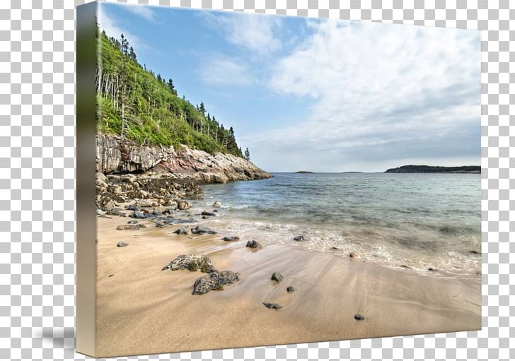 Coast Shore Sea Ocean Beach PNG, Clipart, Acadia National Park, Bay, Beach, Cape, Coast Free PNG Download