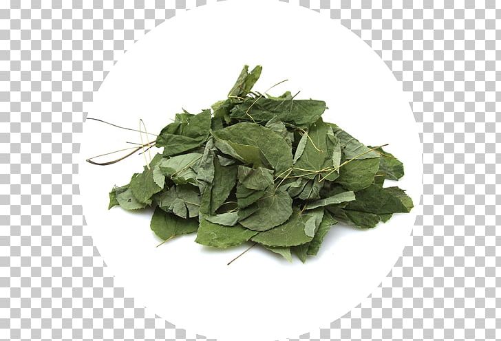 Dietary Supplement Barrenwort Herb Longjack Nitric Oxide PNG, Clipart, Arginine, Barrenwort, Capsule, Collard Greens, Dietary Supplement Free PNG Download