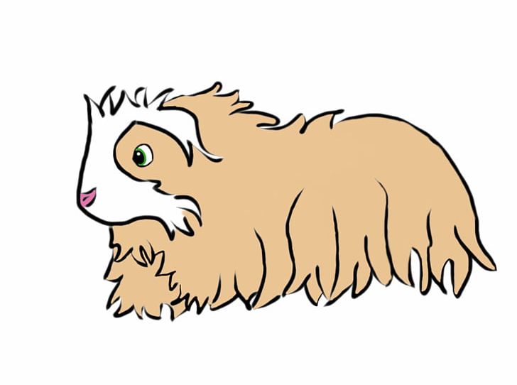 Guinea Pig Cat Cartoon Domestic Pig PNG, Clipart, Animal, Animal Figure, Art, Artwork, Beak Free PNG Download