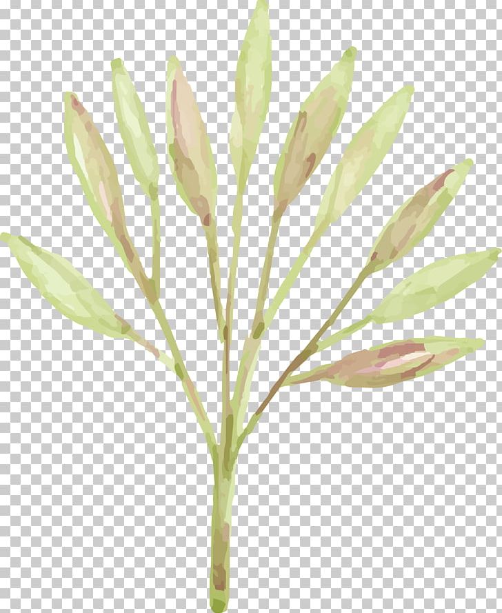 Other Leaf Branch PNG, Clipart, Background, Branch, Clip Art, Dating Spring, Download Free PNG Download