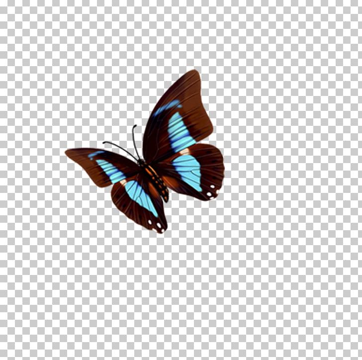 Butterfly Nymphalidae PNG, Clipart, Arthropod, Blue Butterfly, Brush Footed Butterfly, Butterflies, Butterfly Free PNG Download