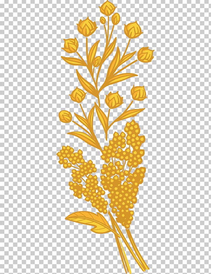 Quinoa Floral Design Plant Stem PNG, Clipart, Area, Branch, Bread, Clip Art, Commodity Free PNG Download