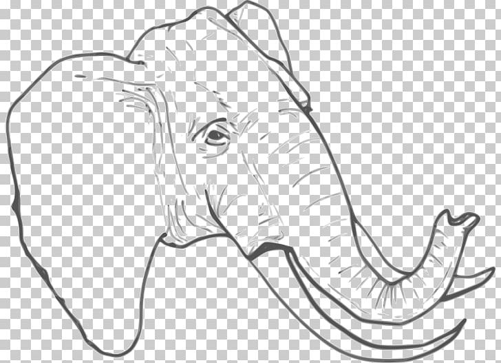 Elephant Drawing PNG, Clipart, African Elephant, Animals, Artwork, Black And White, Carnivoran Free PNG Download