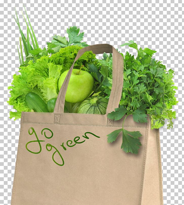 Paper Bag Stock Photography Food Grocery Store PNG, Clipart, Bag, Flowerpot, Food, Food Drinks, Fruit Free PNG Download