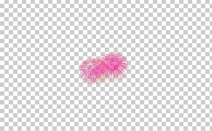 Petal Computer Pattern PNG, Clipart, Bloom, Bloom Of Fireworks, Cartoon Fireworks, Circle, Computer Free PNG Download