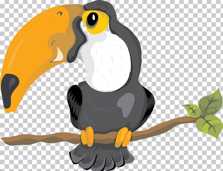 Bird Toucan PNG, Clipart, Animal, Animals, Beak, Bird, Download Free PNG Download