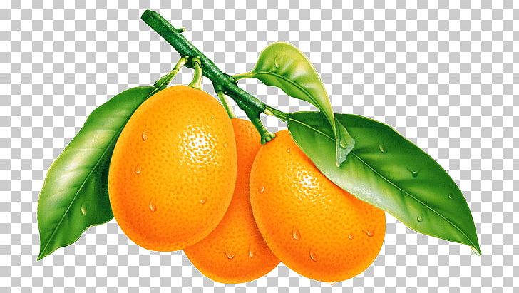 Fruit Orange Desktop PNG, Clipart, Bitter Orange, Calamondin, Citrus, Desktop Wallpaper, Die Free PNG Download