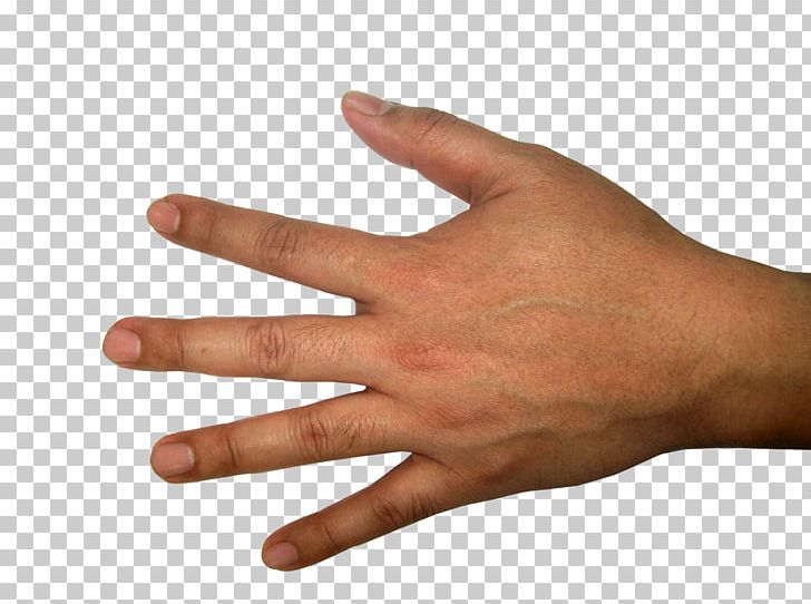 Hand Finger PNG, Clipart, Arm, Clipping Path, Finger, Hand, Hand Model Free PNG Download