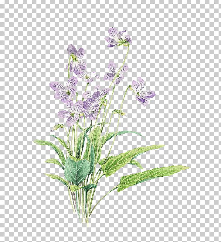 Small Fresh Purple Painted Flowers PNG, Clipart, Artificial Flower, Beautiful Illustration, Cartoon, English Lavender, Floral Design Free PNG Download