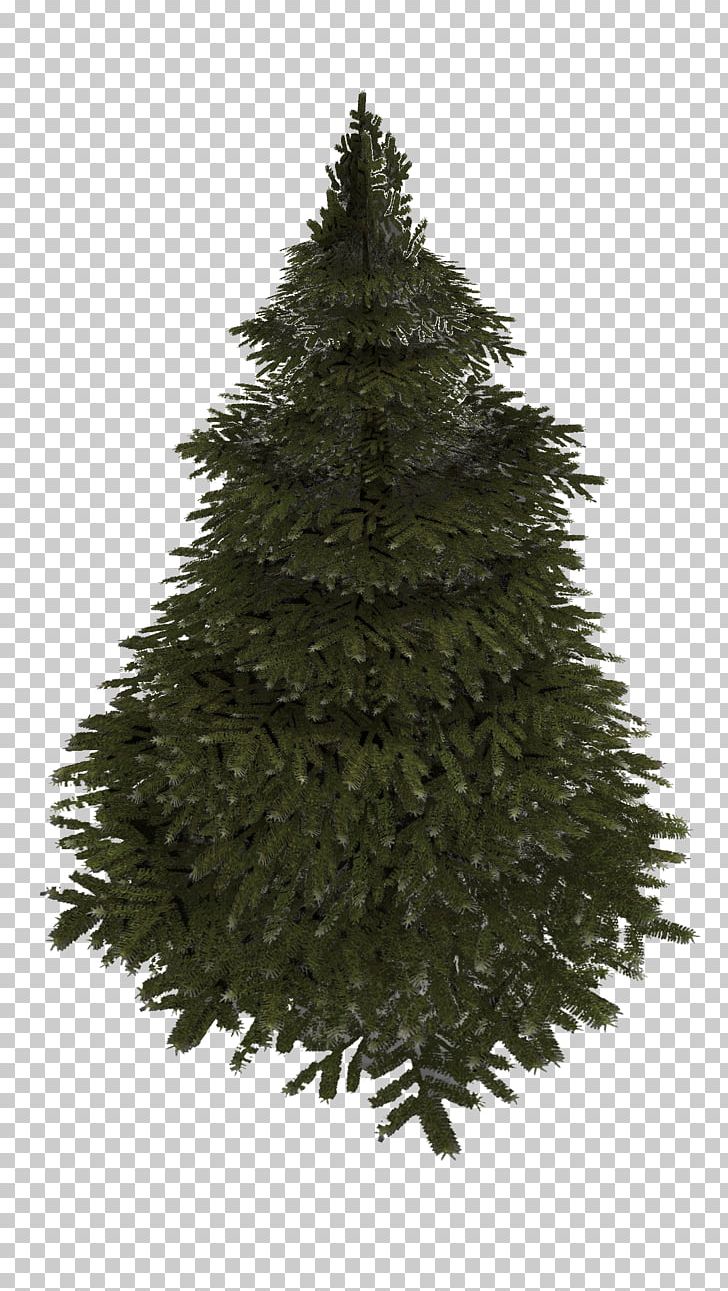 Spruce Christmas Tree Fir Pine PNG, Clipart, Christmas, Christmas Decoration, Christmas Ornament, Christmas Tree, Conifer Free PNG Download