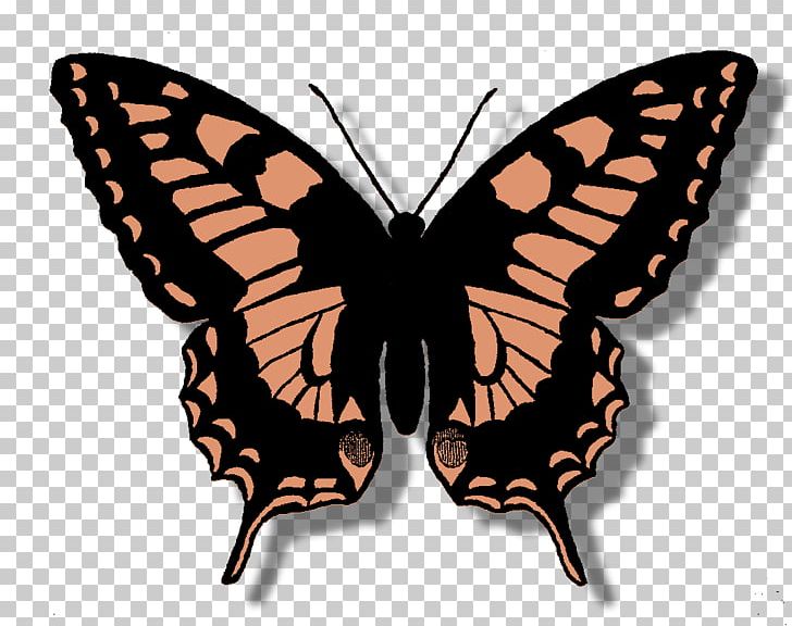 Monarch Butterfly Swallowtail Butterfly PNG, Clipart, Arthropod, Brush Footed Butterfly, Butterflies And Moths, Butterfly, Butterfly Vintage Free PNG Download