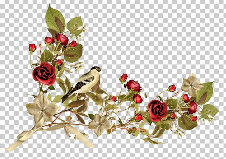 Afternoon Day Friendship Morning PNG, Clipart, Afternoon, Blossom, Branch, Cut Flowers, Day Free PNG Download