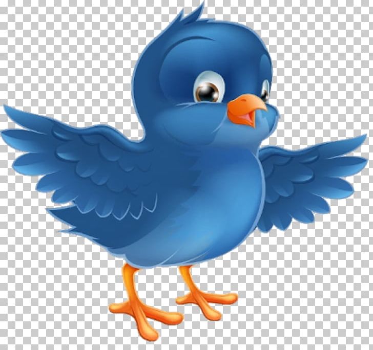 Bluebirds Graphics Stock Photography PNG, Clipart, Animals, Beak, Bird, Bird Clipart, Bluebird Of Happiness Free PNG Download