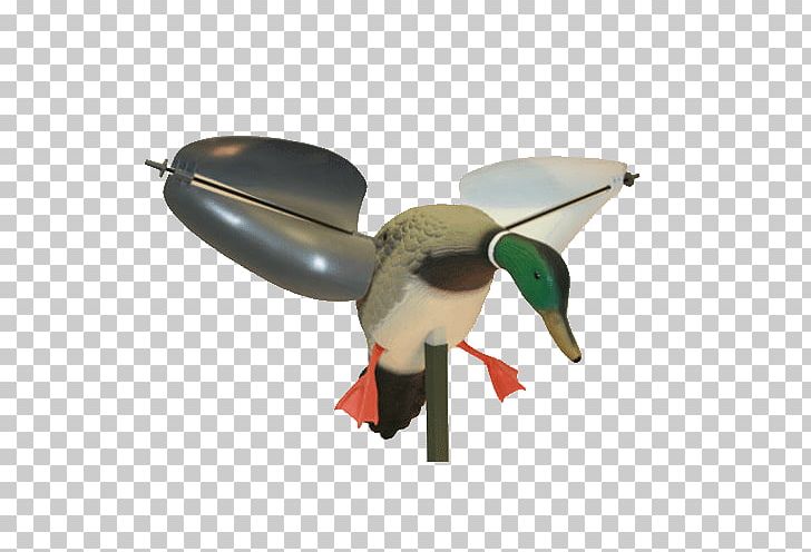 Mallard Duck Decoy Hunting PNG, Clipart, Animals, Beak, Bird, Decoy, Duck Free PNG Download
