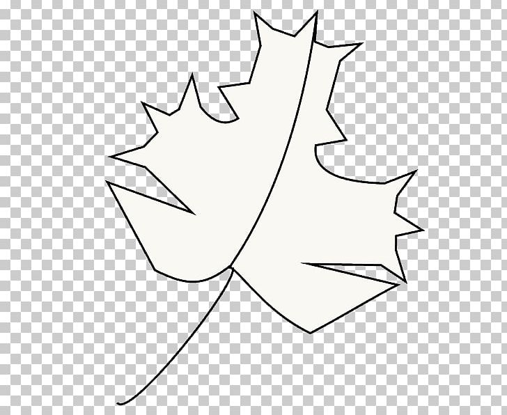 Maple Leaf Plant Stem Line Art PNG, Clipart, Angle, Area, Artwork, Black And White, Branch Free PNG Download