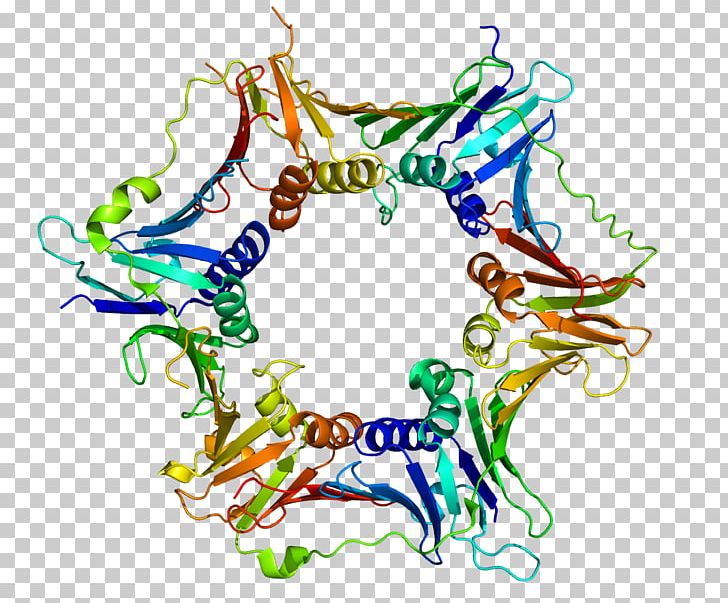 RAD9A Protein Proteomics Cell Cycle Gene PNG, Clipart, 3 A, 9 A, Area, Art, Artwork Free PNG Download