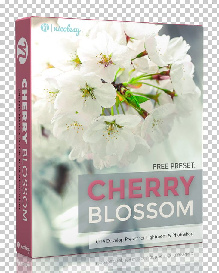 Adobe Lightroom Photography Computer Software Adobe Systems PNG, Clipart, Adobe Camera Raw, Adobe Lightroom, Adobe Systems, Blossom, Cherry Blossom Free PNG Download