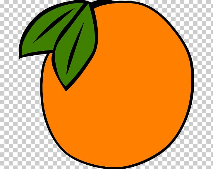 Fruit Orange PNG, Clipart, Area, Artwork, Berry, Circle, Citrus Free PNG Download