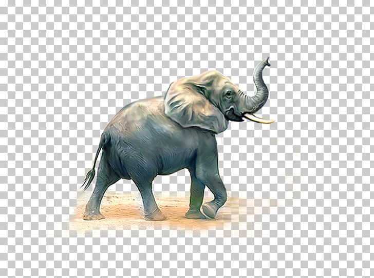 African Elephant Indian Elephant PNG, Clipart, African Elephant, Animal, Animals, Baby Elephant, Cute Elephant Free PNG Download