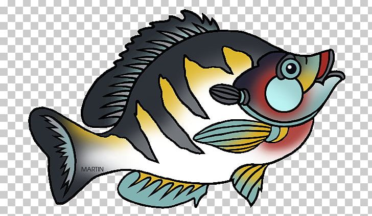 Bluegill State Fish Field Museum Of Natural History PNG, Clipart, Art, Beak, Bluegill, Clip, Clip Art Free PNG Download
