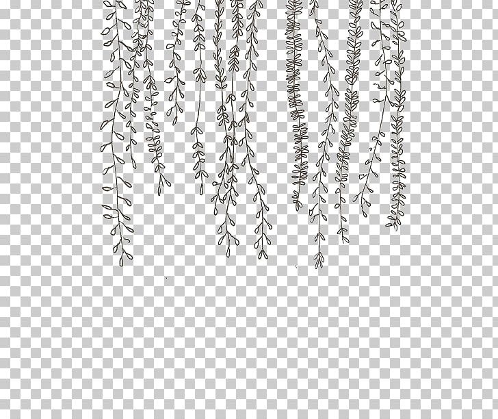 Doodle Drawing Vine Plant PNG, Clipart, Adriana, Art, Black And White, Branch, Cactaceae Free PNG Download