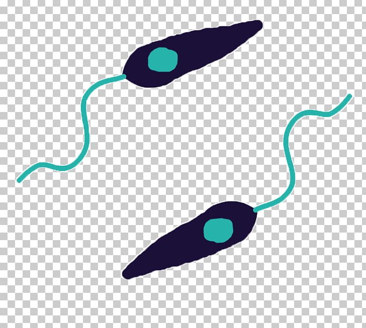 Line Turquoise PNG, Clipart, Aqua, Art, Giardia, Line, Turquoise Free PNG Download