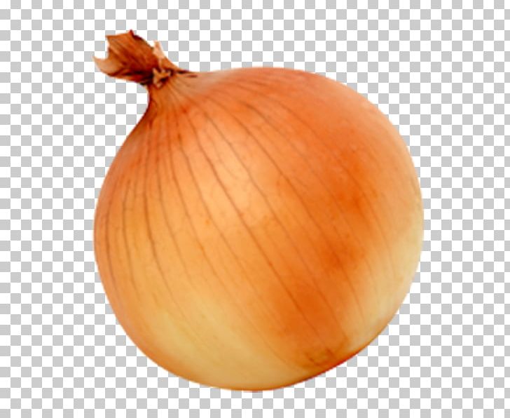 Yellow Onion Red Onion Sweet Onion PNG, Clipart, Food, Ingredient, Miscellaneous, Onion, Onion Genus Free PNG Download
