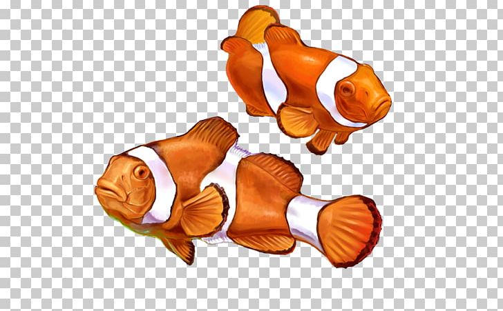 Clownfish Nemo Drawing Animal Painting PNG, Clipart, Animal, Art, Clown, Clownfish, Clown Fish Free PNG Download