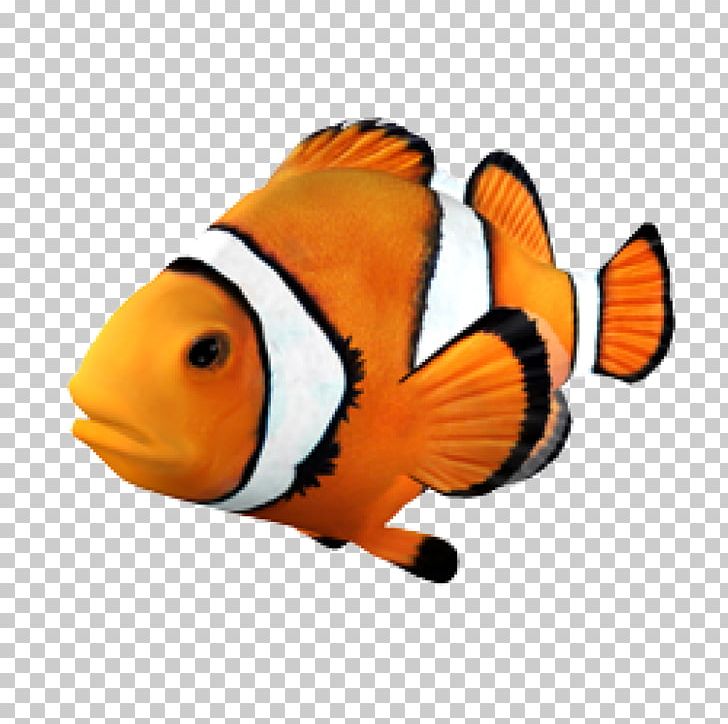 Goldfish Clownfish Angelfish Tropical Fish PNG, Clipart, Angelfish, Animal, Animals, Animated, Aquarium Free PNG Download
