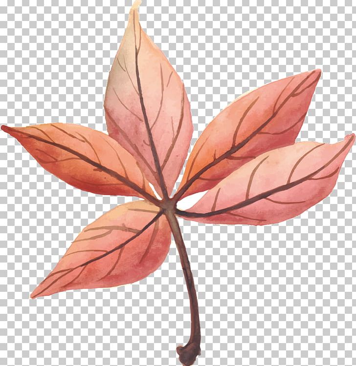 Leaf Autumn Euclidean PNG, Clipart, Autumn Branches, Autumn Leaves, Autumn Vector, Branch, Download Free PNG Download