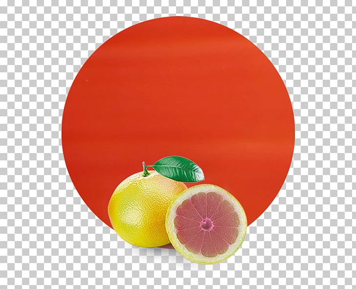 Blood Orange Grapefruit Juice Essential Oil Tangerine PNG, Clipart, Blood Orange, Circle, Citric Acid, Citrus, Essential Oil Free PNG Download