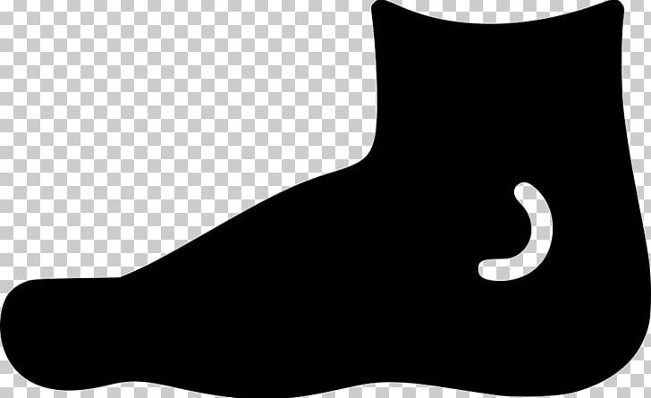 Cat White Black M Font PNG, Clipart, Animals, Black, Black And White, Black M, Carnivoran Free PNG Download