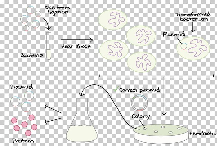 Imperial College London Engineering Research Laboratory Faculty PNG, Clipart, Angle, Animal, Area, Cartoon, Circle Free PNG Download