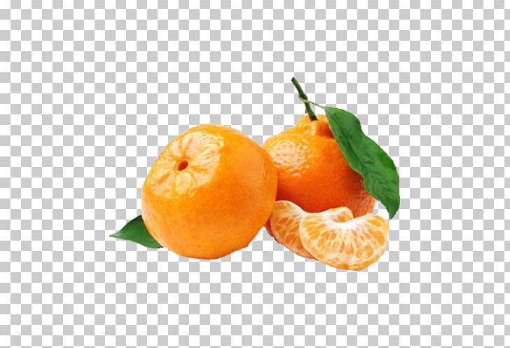 Mandarin Orange Satsuma Mandarin Tangerine Orange Juice Clementine PNG, Clipart, Bitter Orange, Chenpi, Citric Acid, Citrus, Diet Food Free PNG Download